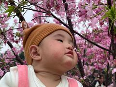-雀儿山公园