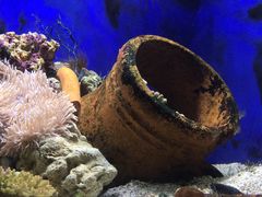-江和美海洋公园