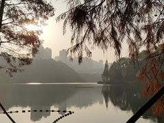 -重庆彩云湖湿地公园