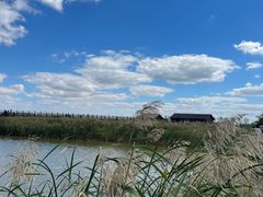 -盐城丹顶鹤湿地生态旅游区