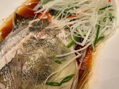-外高桥喜来登酒店采悦轩
