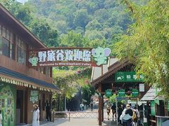 -野象谷景区