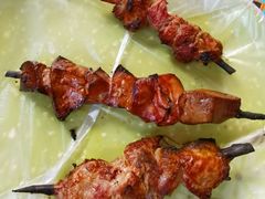 红柳烤肉-艾力江和田馕坑烤肉店
