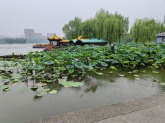 -济南大明湖景区