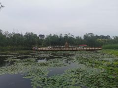 -绿堤公园