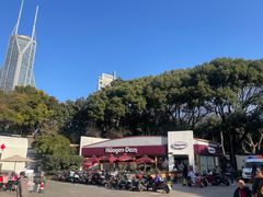 -上海明天广场JW万豪酒店