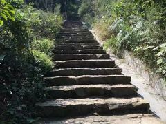 -冶父山国家森林公园