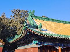 -颐和园
