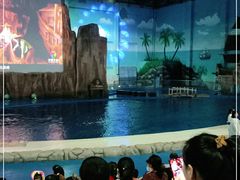 -华夏文旅海洋公园