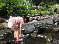 -成都市活水公园