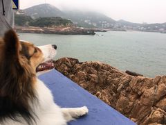 -大王村沙滩