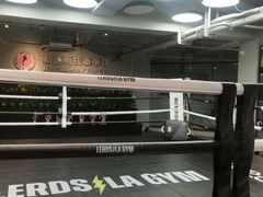 -花环泰拳·勒德斯拉泰拳馆(静安店)