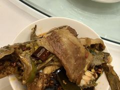 麻辣嘎鱼锅-弘雅饭店