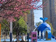 -海合安武汉极地海洋公园