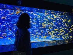 -成都浩海立方海洋公园