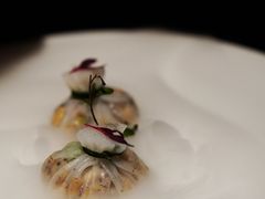 -觀芷隐轩