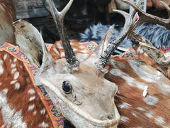 -乔家满族八大碗(流水沟店)