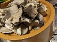 -龍歌自助小火锅(李沧顺和汇店)