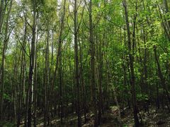 -野三坡百草畔景区