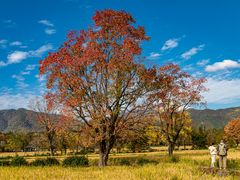 -塔川景区