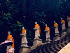 -西双版纳勐泐文化旅游区