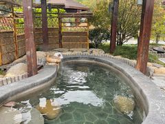 -扬州瘦西湖温泉