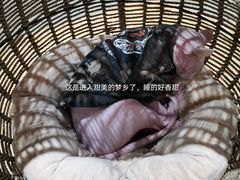 -藏猫猫咖啡主题馆(中央大道店)