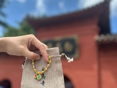 -洛阳白马寺