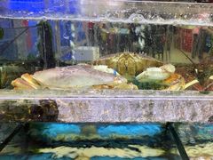 -鑫鸿达·海鲜闽菜热炒小馆(中山路店)