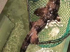 -至尊鲨鱼·原烹海鲜·新浙菜(拱宸桥店)
