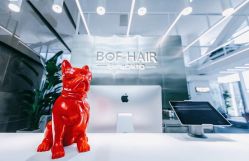 -BOF HAIR BY HONTO