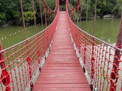 -上海吴淞炮台湾国家湿地公园