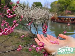 -西溪国家湿地公园