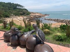 -广东惠东海龟国家级自然保护区