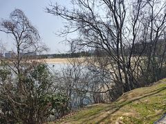 -瑶湖湿地自然保护区