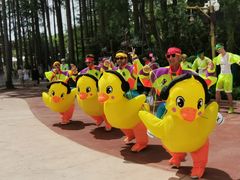 -武汉玛雅海滩水公园