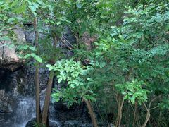 -天目湖山水园