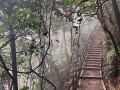 -广州市帽峰山景区