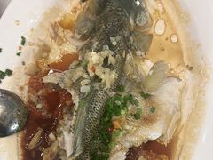 -五谷芳乳鸽王(海景店)