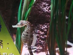 -沈阳海洋探索中心