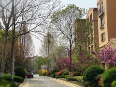 -思念果岭悦温泉