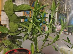 -永安里地摊烤肉(首创店)