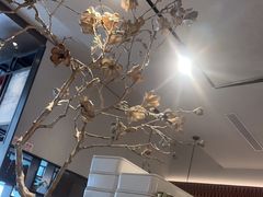 -羲和雅苑•北京烤鸭(国贸商城店)