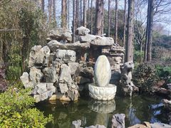 -上海醉白池公园