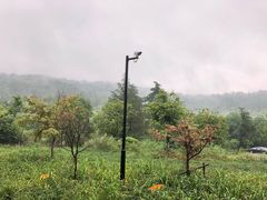 -苏州环秀晓筑养生度假村