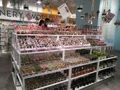 -KKV(深圳宏发大仟里店)