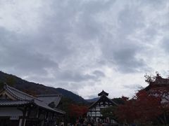-天龙寺