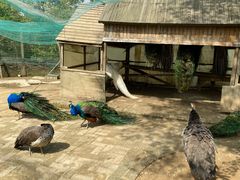 -武汉紫薇都市田园