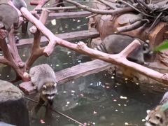 -长鹿旅游休博园