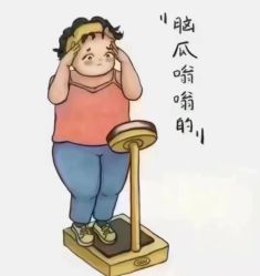-Fundi张玉珊修身堂·indiba·BTL科技瘦身